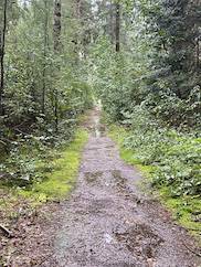 IMG_2184_0.jpeg